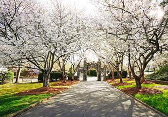 Historic Oakwood cemetery entrance and Spring trees in bloom in Raleigh North Carolina