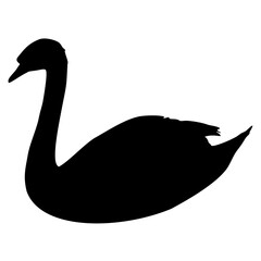 Swan silhouette icon. Vector image