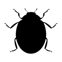 Bug animal silhouette. Vector image