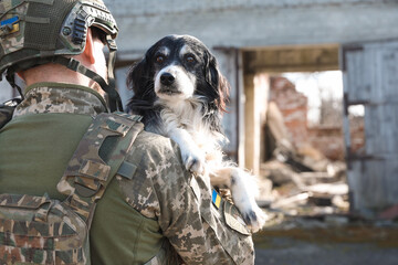 Fototapeta premium Ukrainian soldier rescuing stray dog outdoors, back view. Space for text