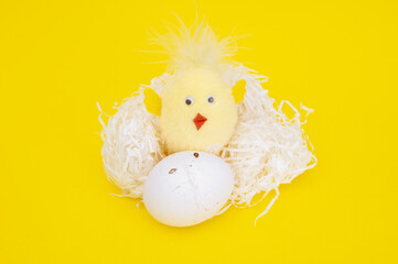 Cute fluffy little chicken borning out of egg on yellow background