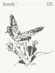 Hand drawn vector illustration of a butterfly on flower on blank backdrop. Sketch. - 761614836