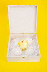Toy little chicken in wooden case on a yellow background
