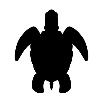 Turtle icon silhouette. Vector image
