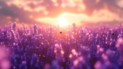 Fotobehang Tranquil Lavender Sunset in Provence, generative ai © Matus