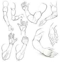 Arms. Set. Sketch. Sample. Construction.