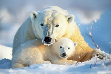 Outdoor-Kissen polar bear family in the snow © agrus_aiart