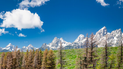 Grand Teton National Park in autumn season. Panoramic view of forest and mountains