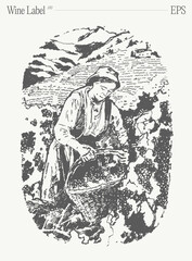 Woman picking grapes in vineyard. Label design element. Hand drawn vector illustration, sketch.