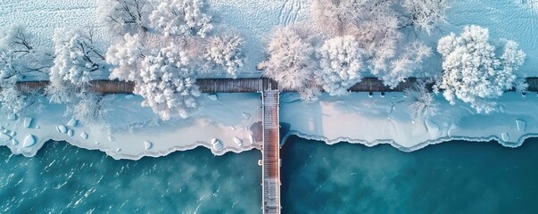Aerial view of frozen shoreline with snowy trees and pier