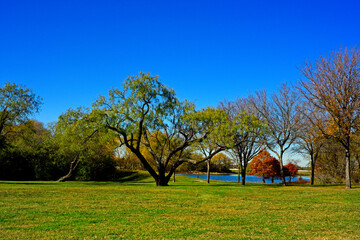 Semi-Open Field With Pond In Background-4036