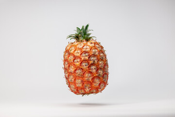 Azorean Pineapple (Ananas) fruit suspended in the air isolated on a white background. Azores Typical fruit.