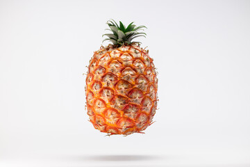 Azorean Pineapple (Ananas) fruit suspended in the air isolated on a white background. Azores Typical fruit.