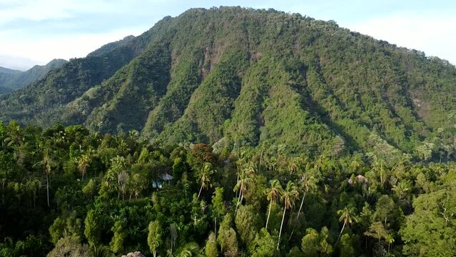 Volcano mountain jungle.