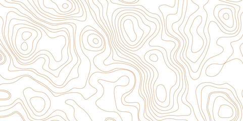 Topographic map. Abstract vector background. Seamless pattern with lines Topographic map. Geographic mountain relief. Abstract lines background. Business concept. Abstract vector illustration - obrazy, fototapety, plakaty