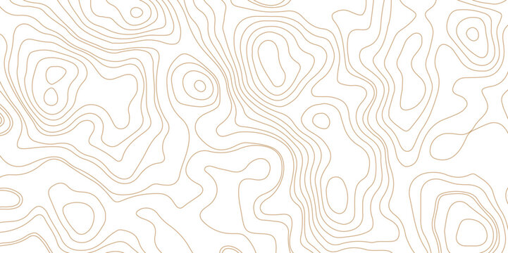 Topographic map. Abstract vector background. Seamless pattern with lines Topographic map. Geographic mountain relief. Abstract lines background. Business concept. Abstract vector illustration