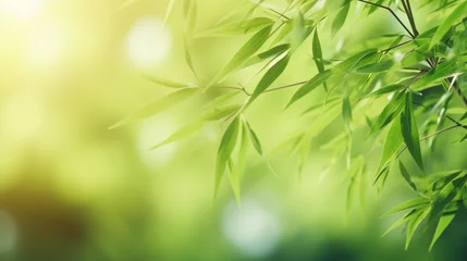 Tuinposter bamboo forest background © Business Pics