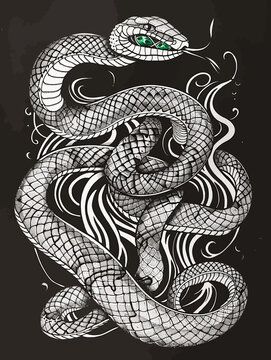 Green Eyes White Snake Illustration