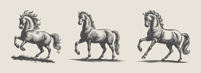 Horse vintage woodcut illustration for T-shirt. Generative AI