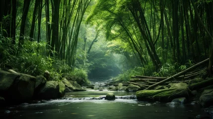 Zelfklevend Fotobehang Remote river with lush bamboo forests and sky © stocksbyrs