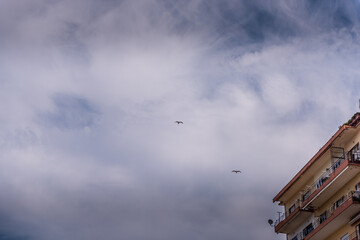 Castellammare di Stabia,  Napoli, campania, italy