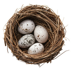 Naklejka na ściany i meble Eggs in Bird's nest on transparent background