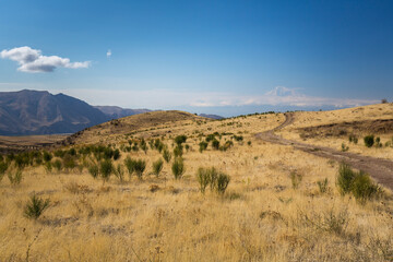  View of Mount Ararat and Armenian Highland
