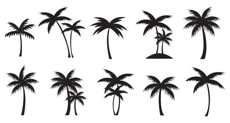 Set of tropical palm trees black silhouette. Vector Palms isolated. - obrazy, fototapety, plakaty