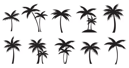 Foto op Canvas Set of tropical palm trees black silhouette. Vector Palms isolated. © Саша Мельник