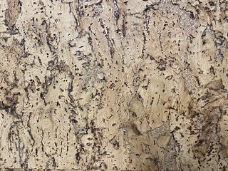 Cork flooring for floors, walls, different colors, textures. Background, wallpaper