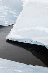 Glace