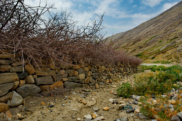 Tadjikistan. A village fence made of stones and bushes is a traditional way of dividing land plots in high-altitude villages.