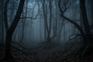 Fototapeta premium forest in fog