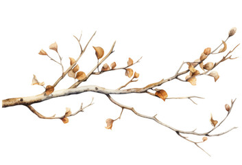 Watercolor brown leaf branch clipart isolated on transparent background
