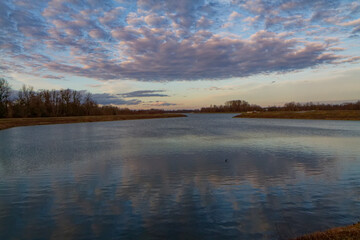 Fototapeta premium The Rhine near Drusenheim in Alasace