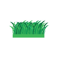 vector illustration design of a patch of green grass.