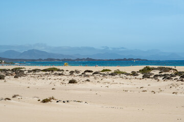 Desert landscape with small dunes and dry vegetation, Lanzarote, Spain