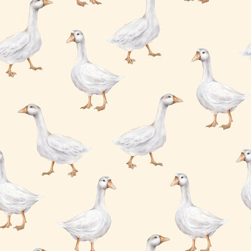 Watercolor seamless pattern with goose bird. Repeat pattern pastel color. Tender watercolor hand drawn illustration on a isolated on background. Domestic white and gray watercolor cute farm bird.