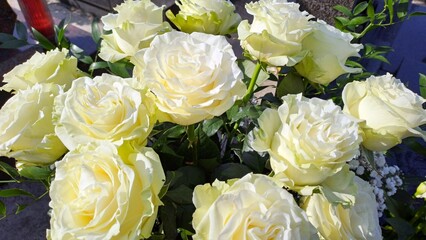 White rose flower bouquet or wedding posy.
