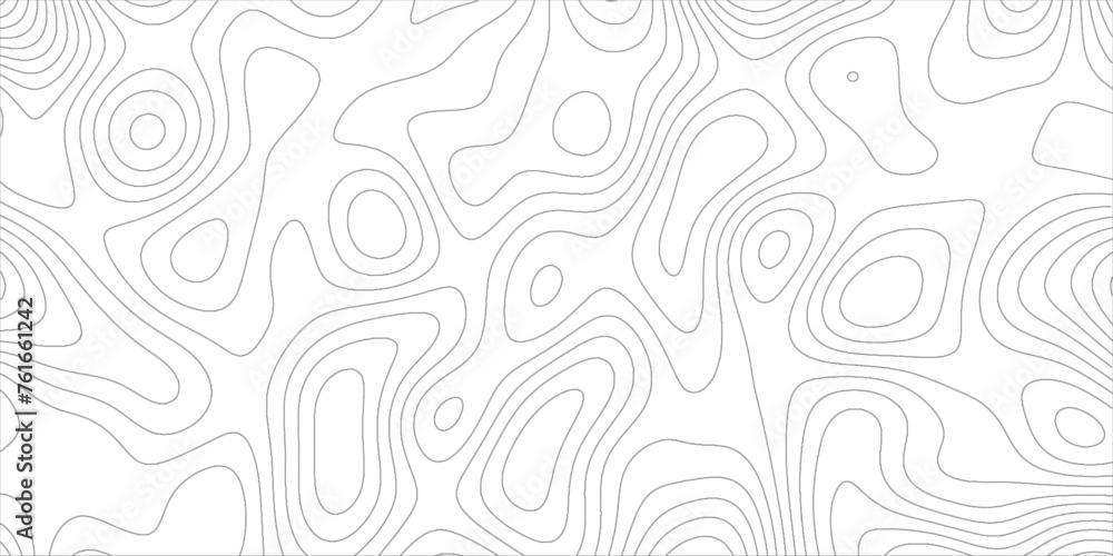 Poster Abstract wavy line paper cut with Topographic canyon geometric map relief texture with curve. Modern design with White topographic wavy pattern design. Texture Imitation of geographical map shades