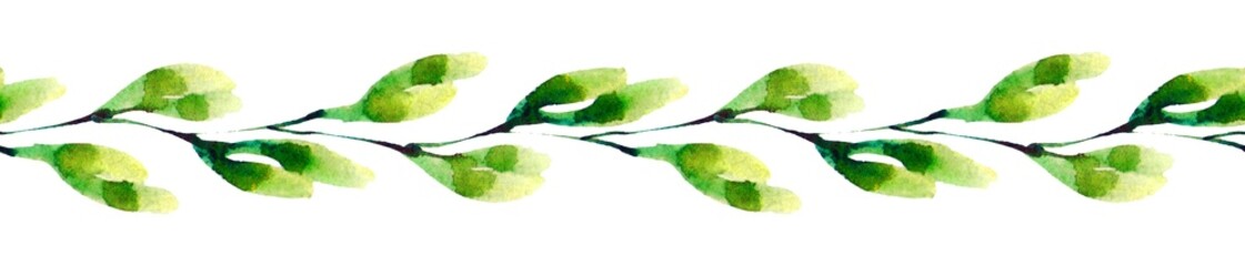 flora, watercolor, pattern on white