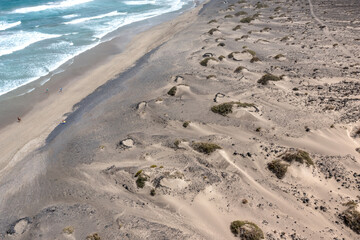 Aerial view of sandy dunes with scarce vegetation and a wavy ocean with few surfers on the Famara beach, Lanzarote, Canary Islands