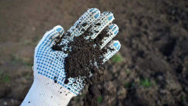 Farmer agronomist with soil sample from agricultural field