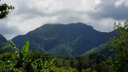 Tropischer Berg in wolken