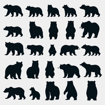 flat design bear silhouette collection