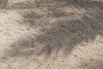 the shadow of a palm leaf moving in cast on a smooth sand background. Creative minimal layout, top...