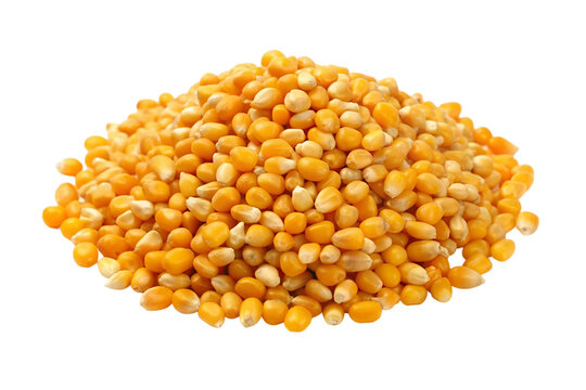 A pile of corn. isolated on transparent background.