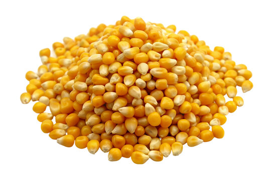A pile of corn. isolated on transparent background.