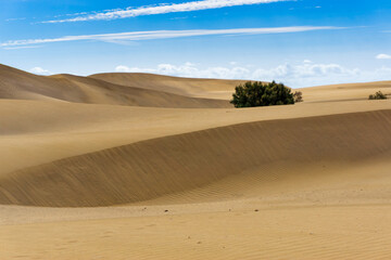 Maspalomas Dunes on Gran Canary Island Spain.