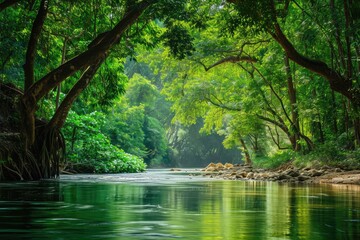 A powerful river cuts through a dense and lush green forest, showcasing the raw beauty of natures interconnected elements, A tranquil rainforest river under a canopy of trees, AI Generated - obrazy, fototapety, plakaty